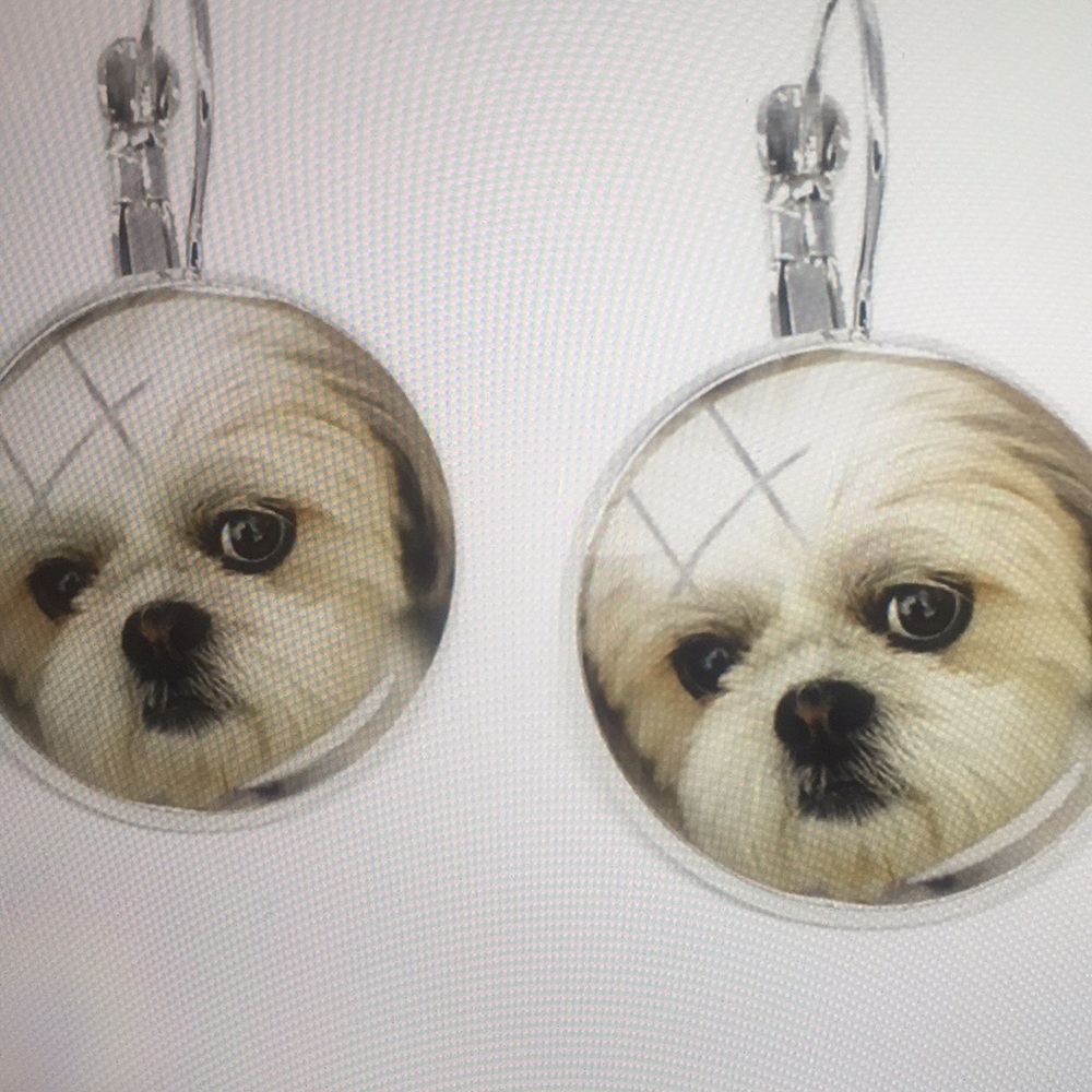 Stainless steel Earrings